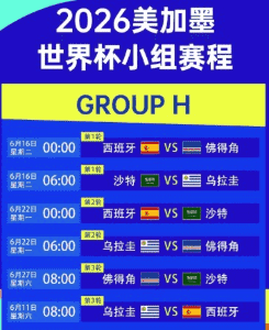世界杯球场全景，球迷欢呼